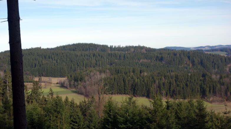 Abstieg, Blick zum Zeißenberg 802m im Osten