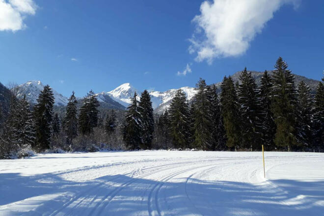 Schlechinger Loipe (6)