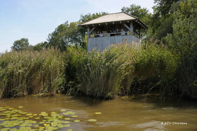 NatBeo-jz-Turm_LG-056-TLachsgang_JZI8592