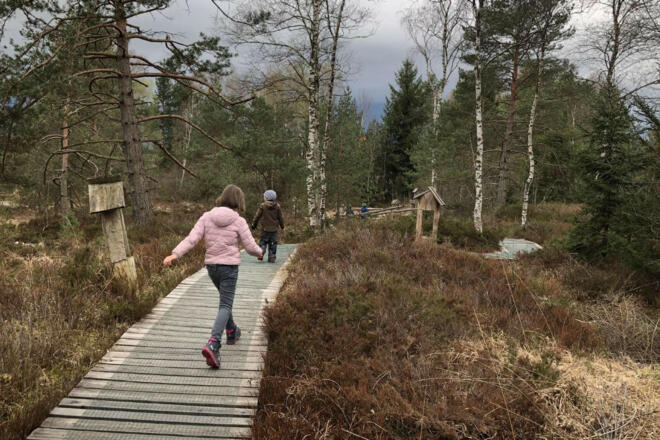 moorstation nicklheim bohlenweg