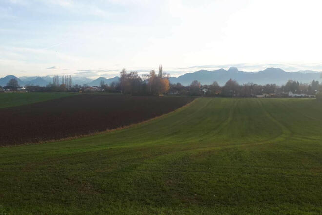 Aussicht-Monopteros-Bad-Aibling-Chiemsee-Alpenland