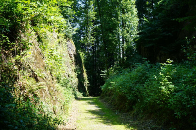 Wolfsschlucht Neubeuern Schiffleutwanderweg St. 8 -©Chiemsee-Alpenland Tourismus (02)