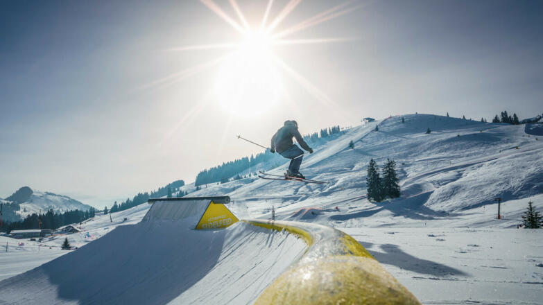 actionwelt-sudelfeld-(c)bergbahnen sudelfeld_ats