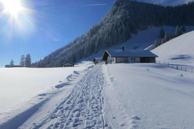 laglerhuette-daffnerwaldalmen-heuberg