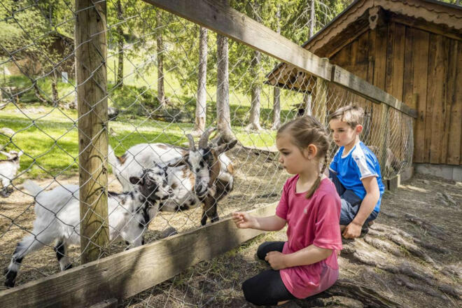familie-streichelzoo-schopperalm