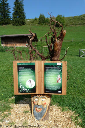 Oberaudorf-Sagenweg-Hocheck-Waldgeist_Yvonne