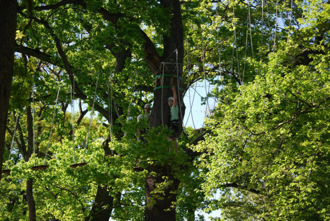 Parker Outdoor Hochseilgarten5