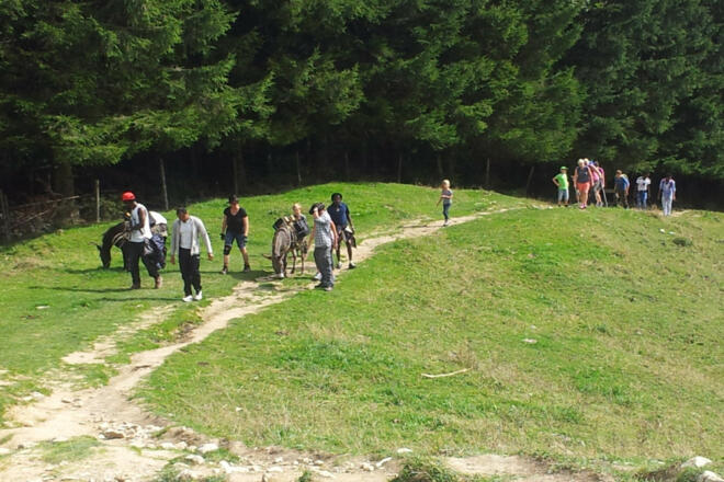 eselwanderung