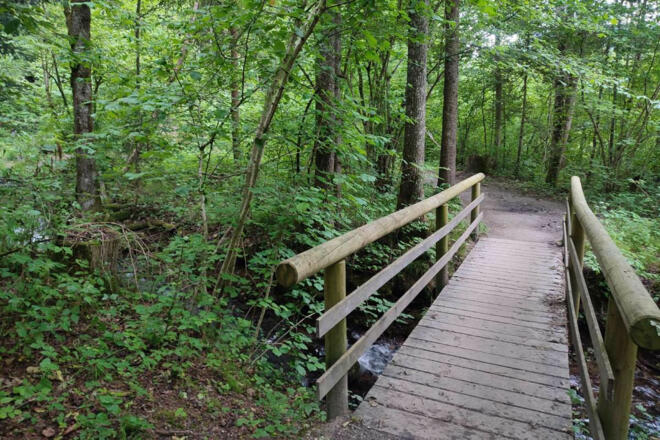 hechtsee-abfluss-kieferer-energiewanderweg