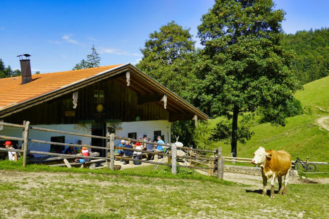 Herrenalm 2020