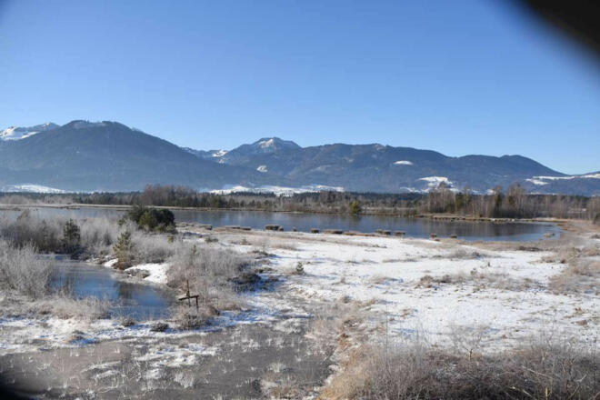 Raub Farrenpoint Schwarzenberg ru2351