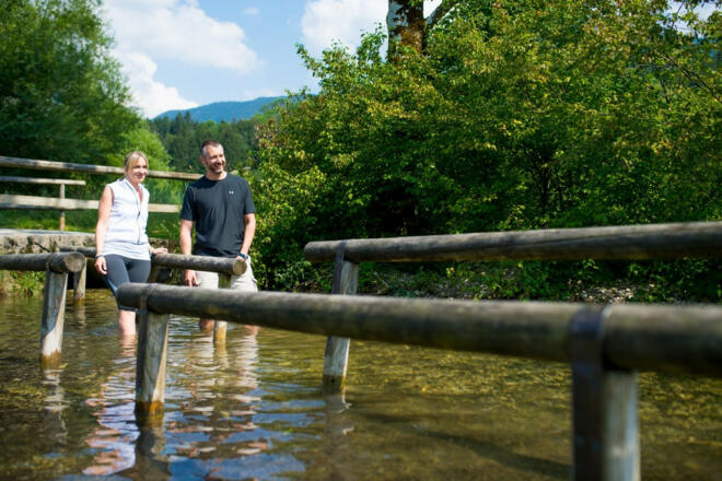 fotografie_andreas_jacob_cat-248_b