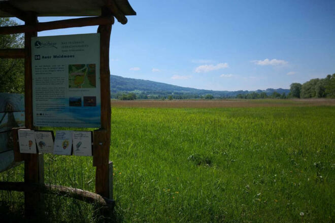 auer weidmoos bad feilnbach