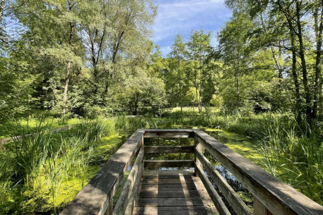 kurpark bad aibling steg