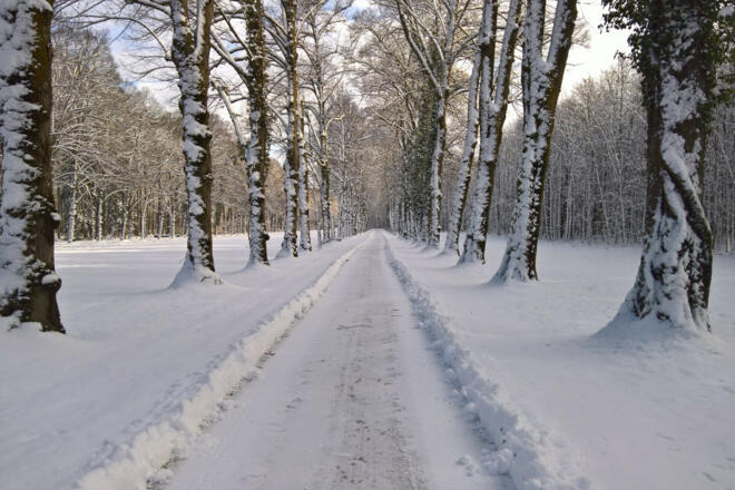 WP_20170103_11_53_55_Rich_hinter dem Schloss1