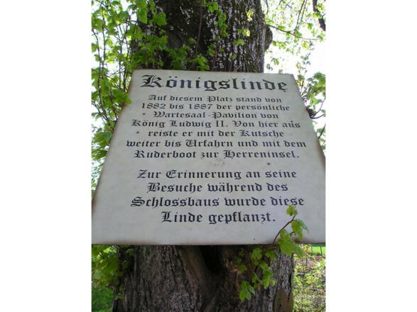 Königslinde bearbeitet