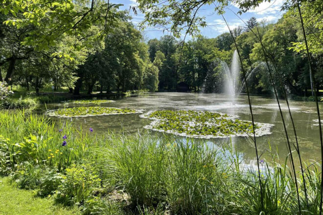 kurpark bad aibling teich