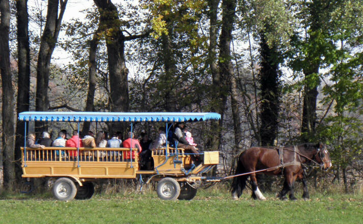 Kutschfahrt-Herrenchiemseee