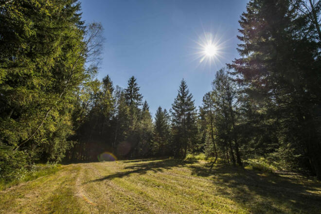 _MG_0739