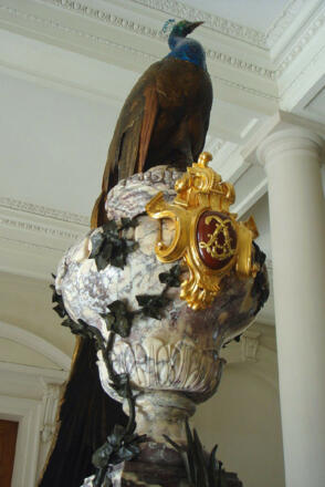 Schloss-Herrenchiemsee-Pfau