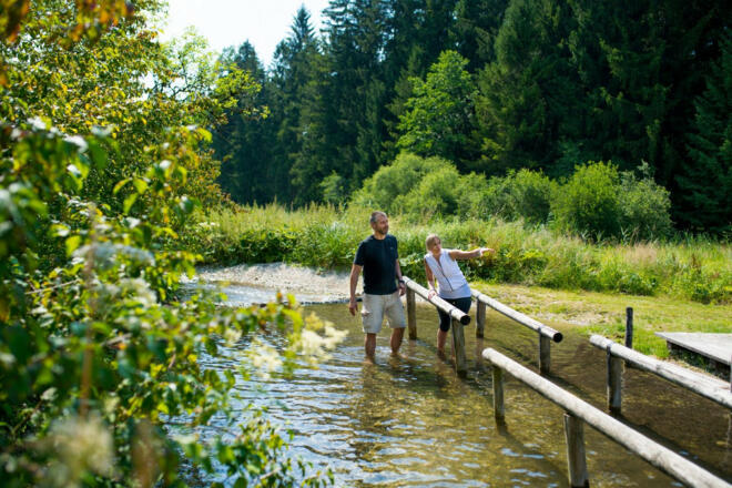 fotografie_andreas_jacob_cat-273_b