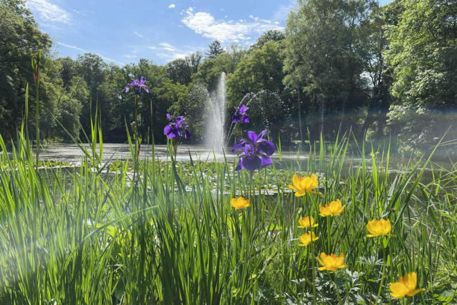 bad aibling kurpark teich