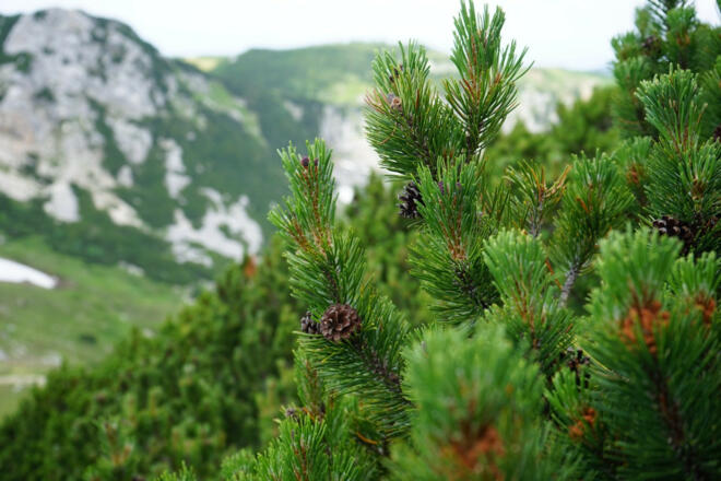 NSG Geigelstein (82)