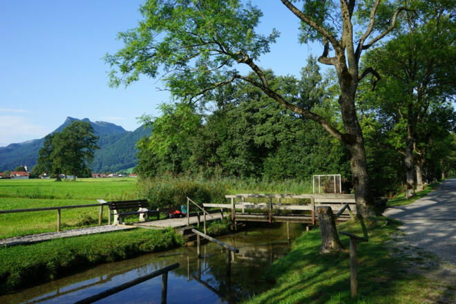 DSC09127