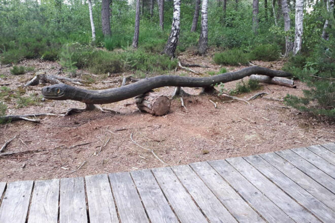 Spielplatz am Moorerlebnisweg