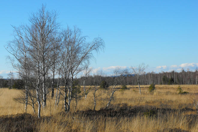 Kendlmühlfilzn_Blick in die Ferne
