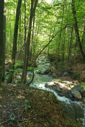 wasserfall-schossrinn (1)