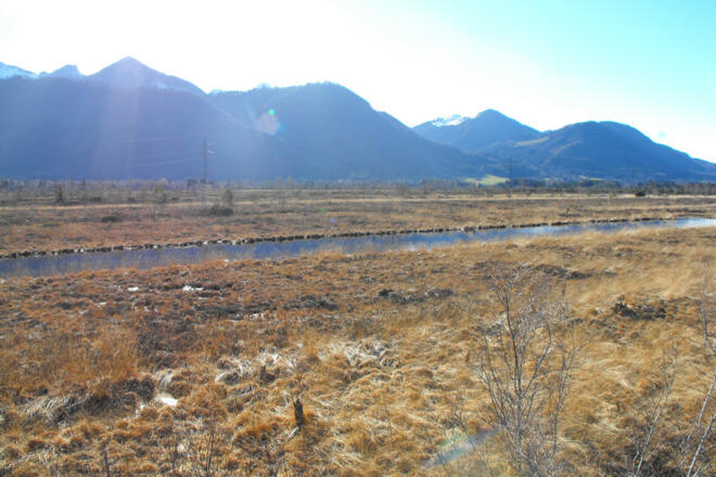 Kendlmühlfilzn_Blick auf die Berge
