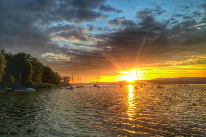 WP_20150801_06_03_51_Pro-01