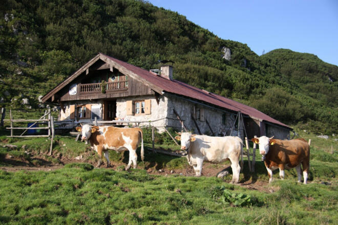 Bergmesse 149(Roßalm)