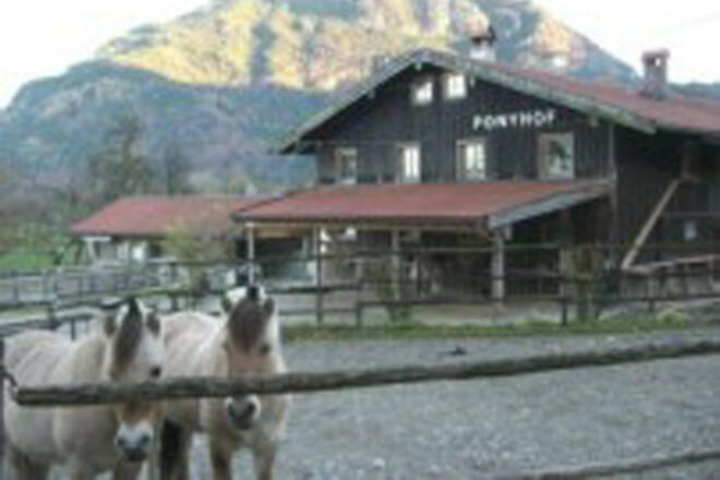 Ponyreithof-St.-Margarethen-1