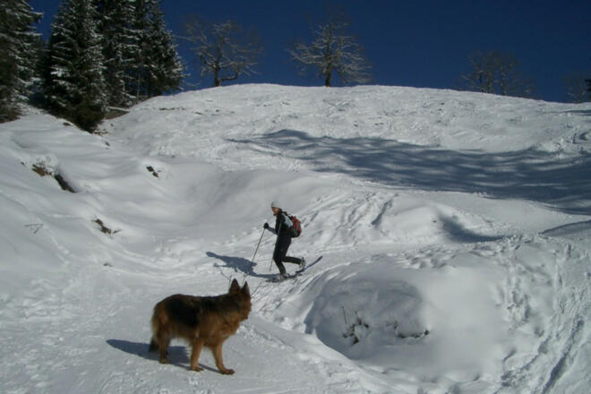 Schreckalm-Geigelstein-Winter