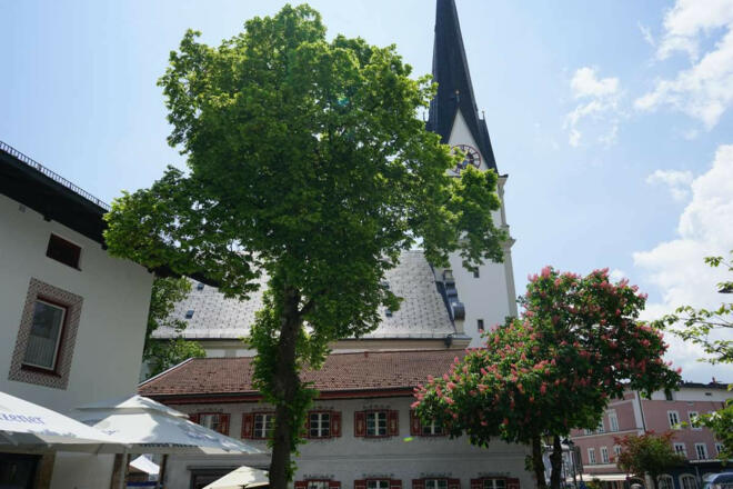 kirche mari himmelfahrt prien