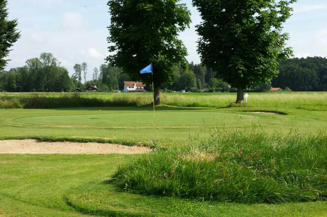 Golfplatz-putting-green