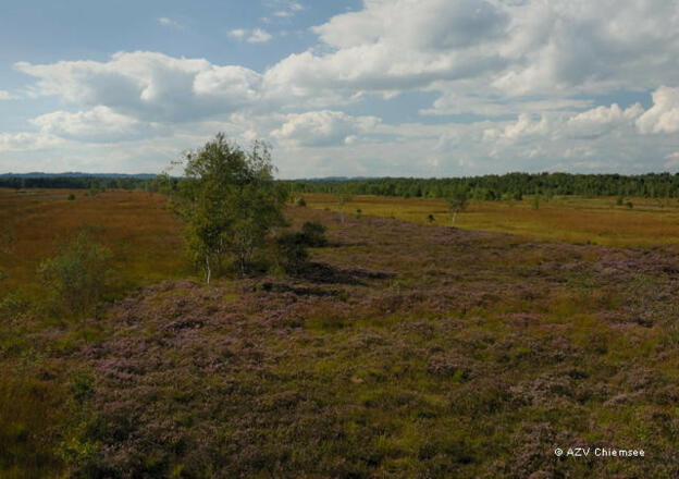 NatBeo#KF-jz-KF_JZ1495