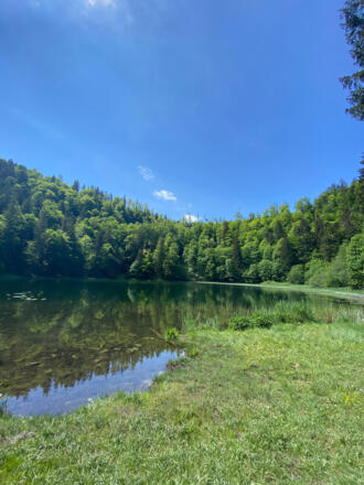 Filblingsee