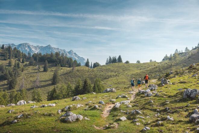 Scheffau_Steinbergalm_Wilder Kaiser
