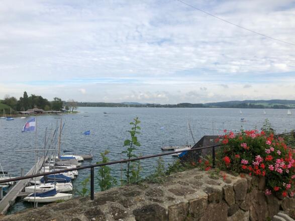 Blick über den Mattsee