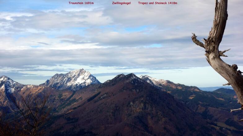 Traunsteinblick vom Farrenaubühel 1287m