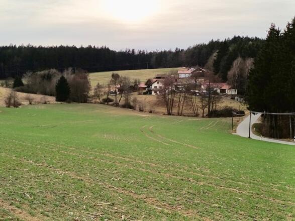 Blick zurück nach Kieselhaus