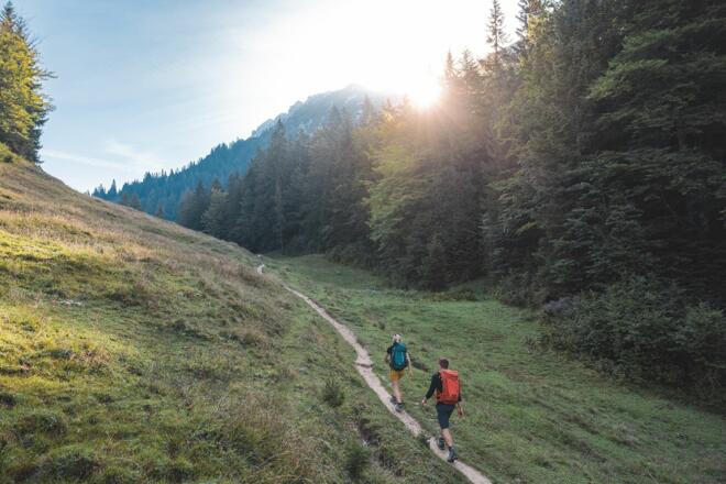 Scheffau_Weg Nr. 827_Hochegg_Wilder Kaiser