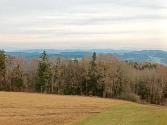 Aussicht unter der Erhebung Hochholz nach Osten