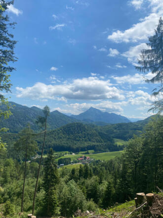 Blick Richtung Schafberg beim Aufstieg