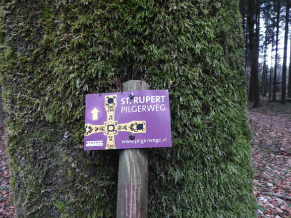 Solche wegweisende Zeichen sind rar gesät.