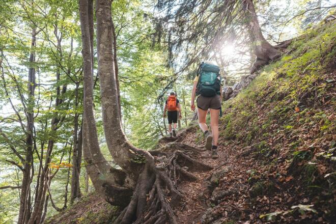 Scheffau_Wilder-Kaiser-Steig_Wilder Kaiser