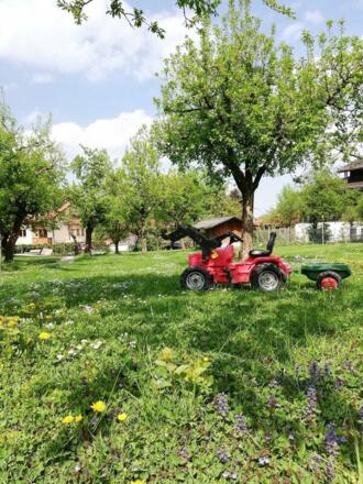 Paradies für Kinder
